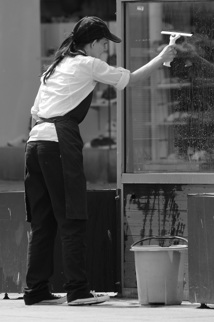 window wax, window cleaning, bucket-814213.jpg